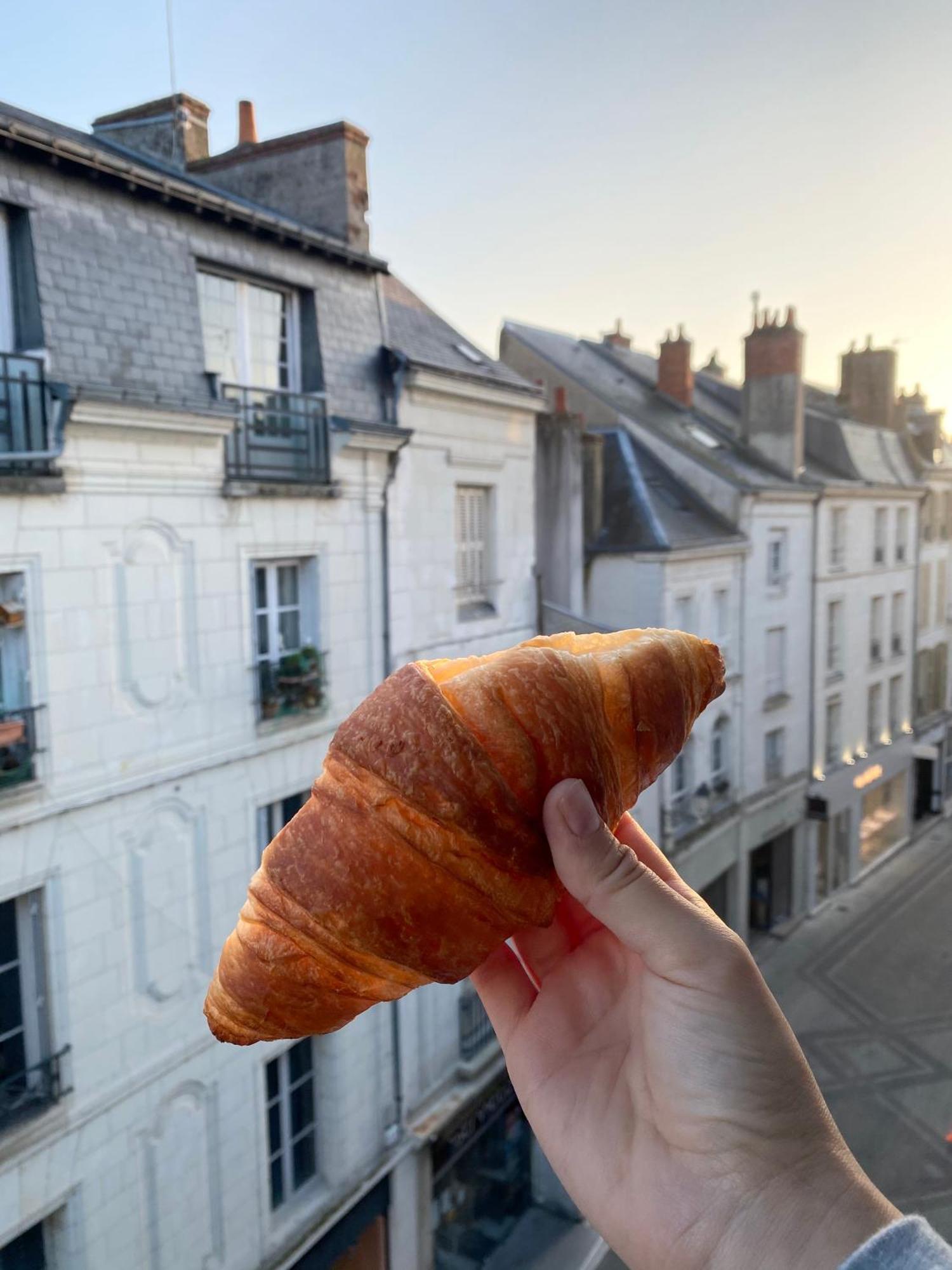 Magnifique Logement Au Pied Du Chateau Blois Luaran gambar